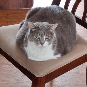 Meet your Posher, Christiane